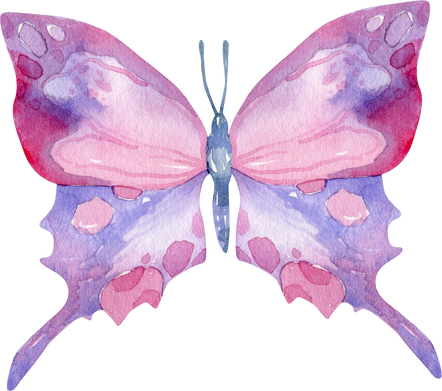 Watercolor insect illustration, butterfly