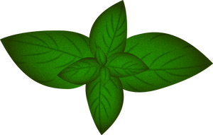 Modern Geometric Basil Herb